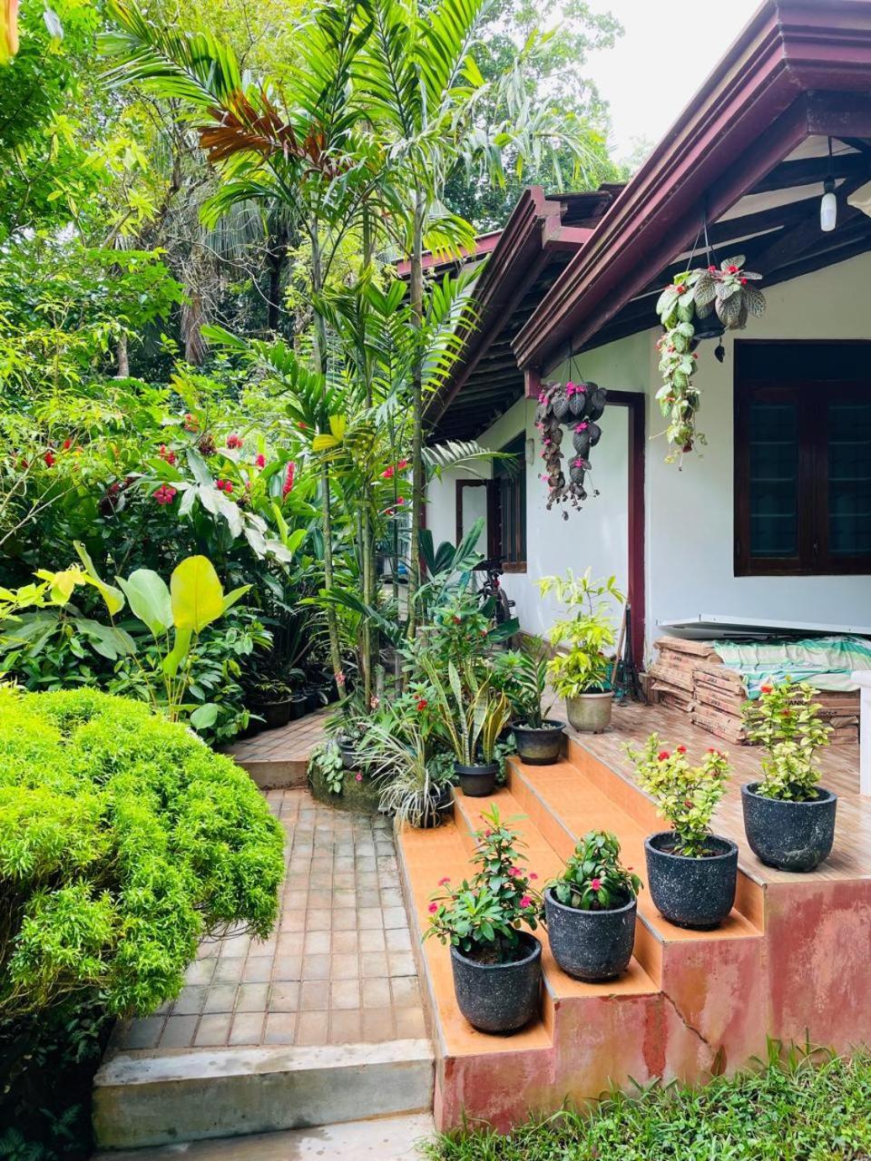 Chami'S Home Stay Mirissa Εξωτερικό φωτογραφία